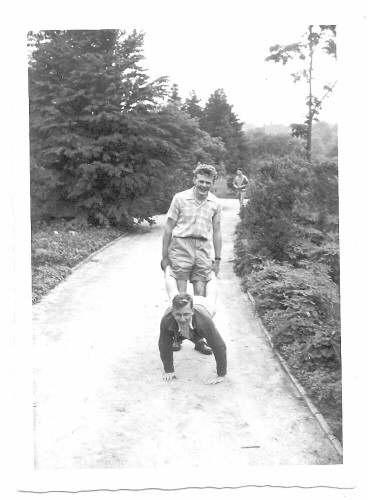 Zwier schiebt Rainer